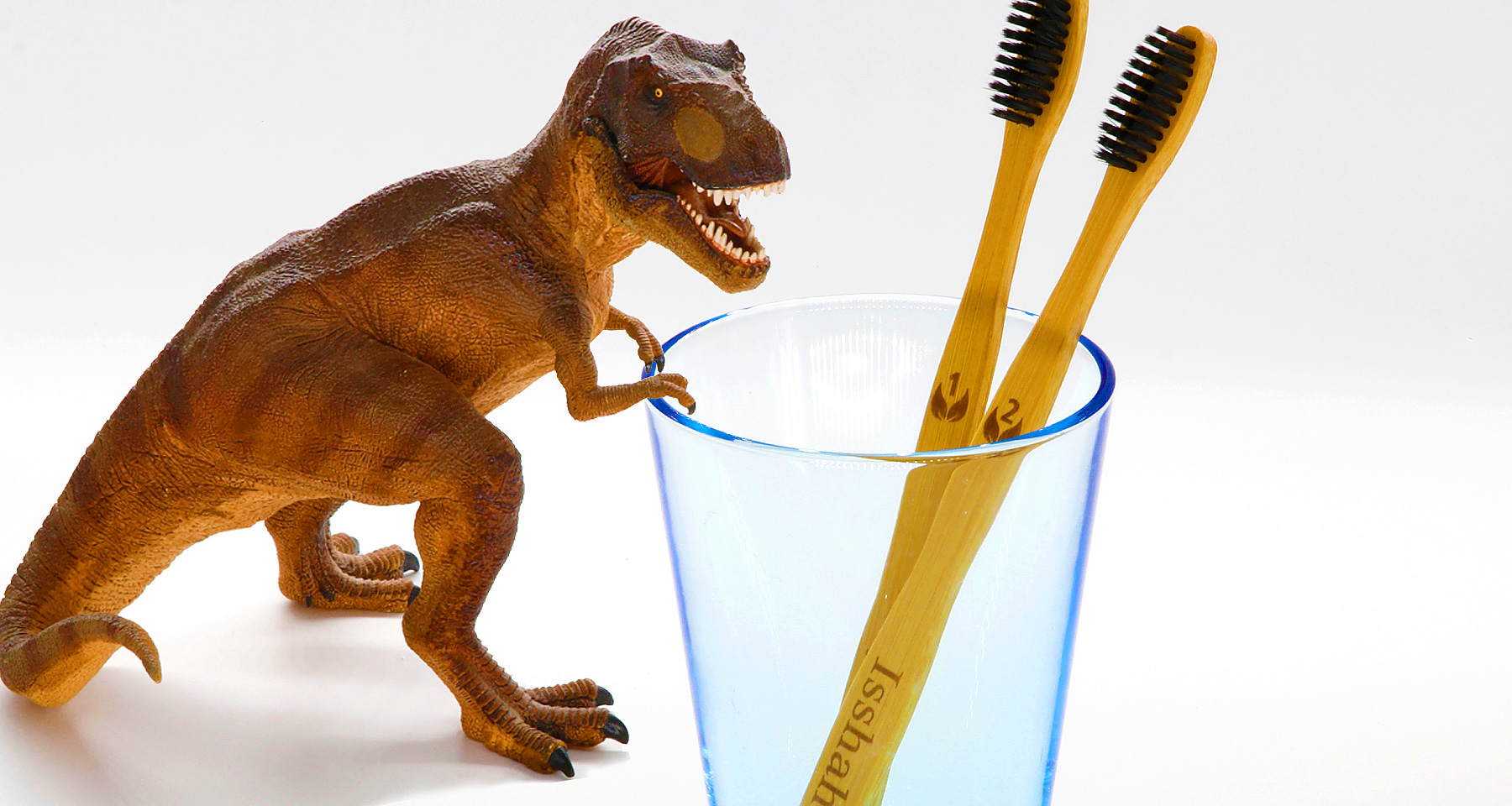 Two toothbrushes next to a toy T-rex dinosaur.