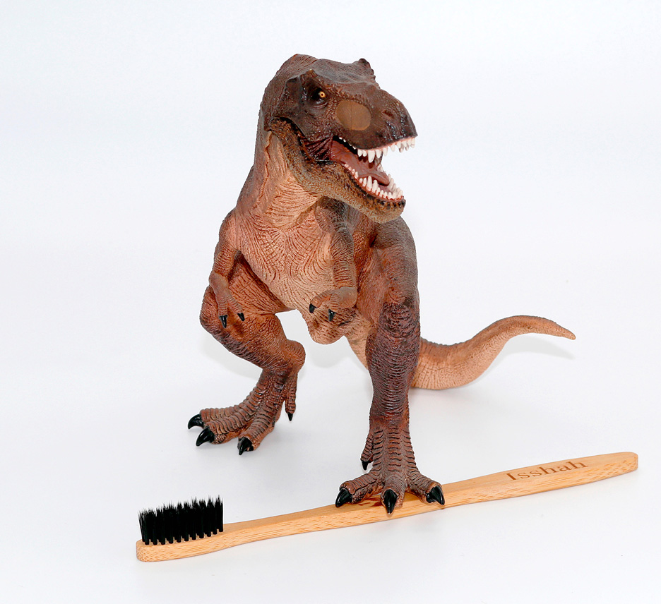 A toy T-Rex standing on a toothbrush.