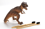 Thumbnail image of a toy T-rex next to a two toothbrushes.